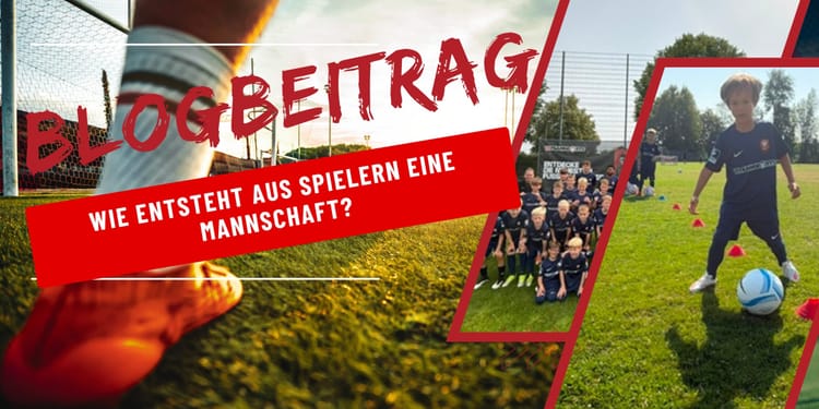 Die ersten Wochen entscheiden:
