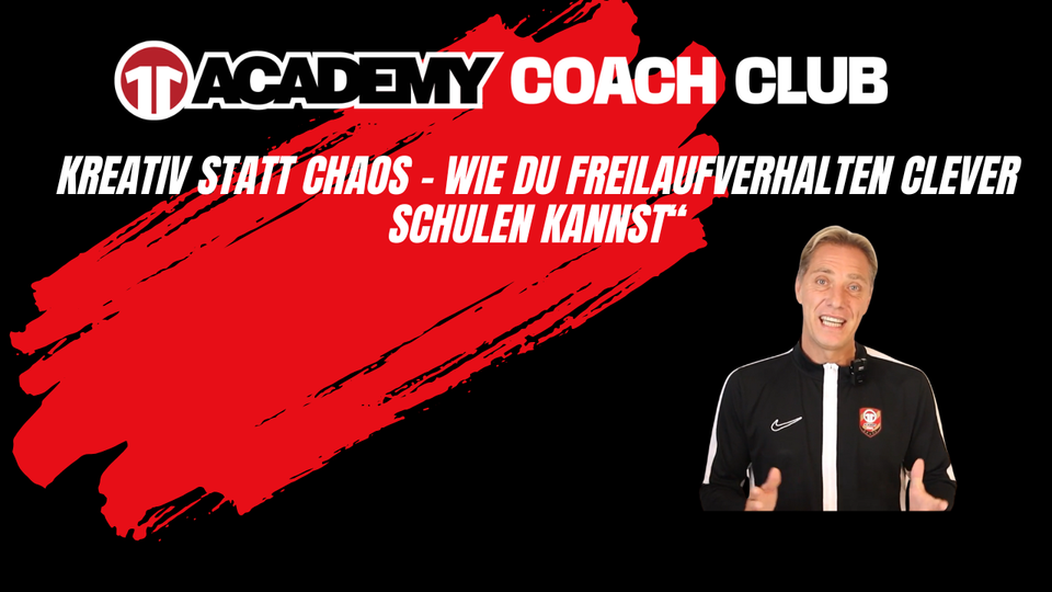 Kreativ statt Chaos! Wie du Freilaufverhalten clever schulen kannst!